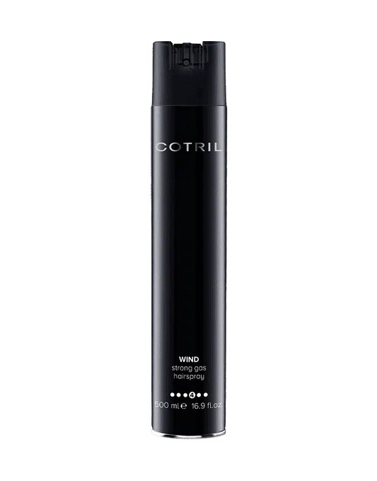 WIND SPRAY 500ML